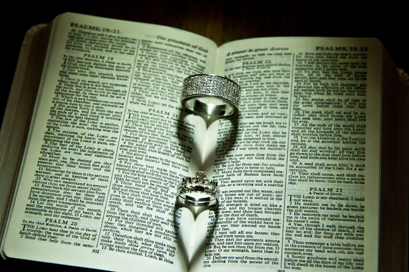 Stuart and Michelle 1 - Wedding Photographer - Westmead Hotel Stuart and Michelle 1 - Wedding Photographer - Westmead Hotel